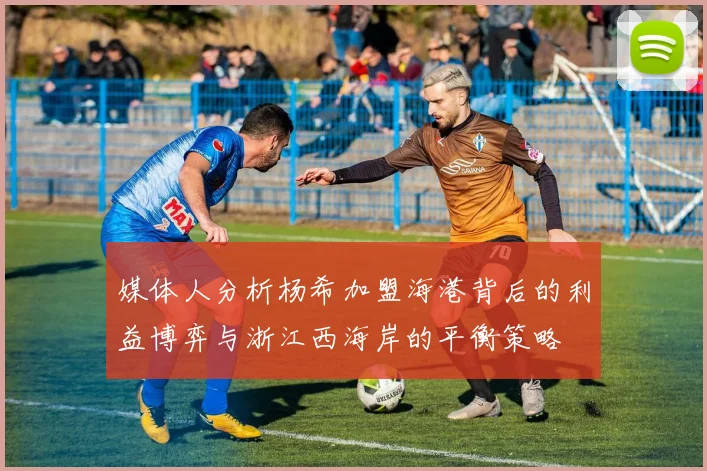 媒体人分析杨希加盟海港背后的利益博弈与浙江西海岸的平衡策略