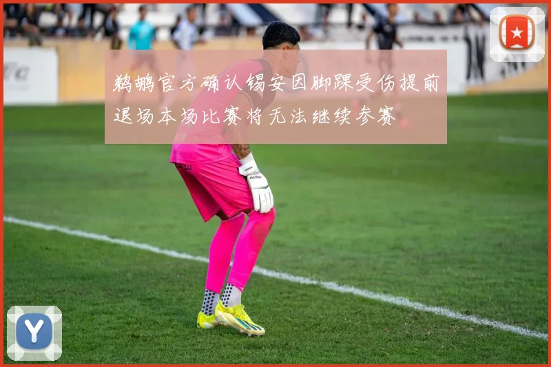 鹈鹕官方确认锡安因脚踝受伤提前退场本场比赛将无法继续参赛