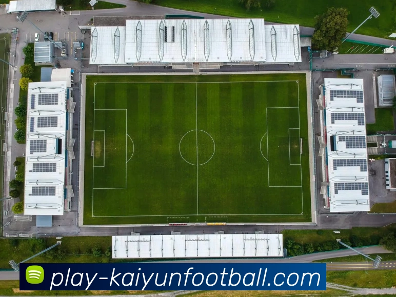 多媒体互动体验